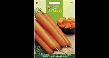 Zomerwortel Napoli F1 - Daucus carota