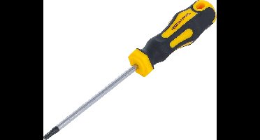 BGS Schroevendraaier - Torx T20 - Meslengte 100 mm