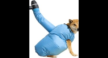 Draagbare huisdierbaddroger en föhn, snel drogende verzorgingstas voor huisdieren, zilveren Oxford-stof (maat M (10-10 kg))