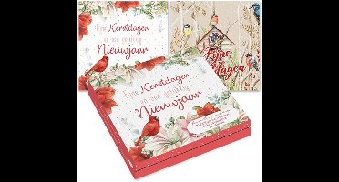 Janneke Brinkman kerstkaartenmapje - Rode kardinaal wit - Vogelhuisje