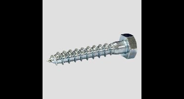 Houtdraadbout 10×90 mm verzinkt 100 st