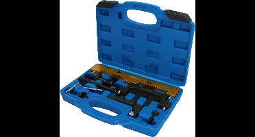 BRILLIANT TOOLS Set motorafstelgereedschap voor BMW N42 N46 N46T ...