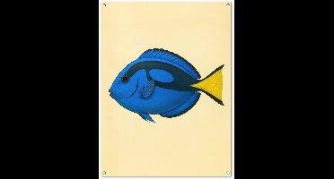 Tuinposter 90x120 cm - Tuindecoratie Blauw - Dory - Vis - Staartvin - Poster voor in de tuin - Buiten decoratie - Schutting tuinschilderij - Tuindoek muurdecoratie - Wanddecoratie balkondoek