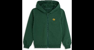 4PRESIDENT Sweater meisjes - Green - Maat 164 - Meisjes trui