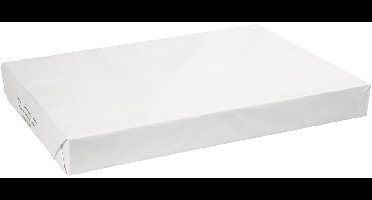Papier - Tekenpapier - Hobbypapier - Wit - DIY, Knutselen, Tekenen - A2 - 42x60cm - 160 grams - 250 vellen