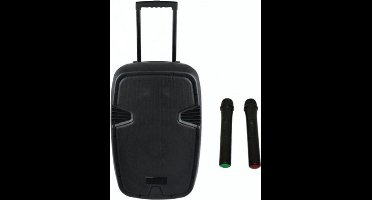 Mobiele Geluidsset 800W PRO (2x handmicrofoon)