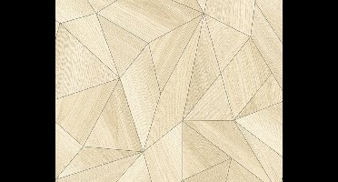 GRAFISCH HOUTLOOK BEHANG - Beige Grijs - AS Creation Daniel Hechter 5