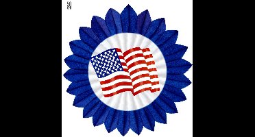 Waaier USA decoratie