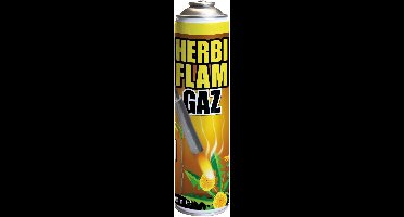 BSI - Herbiflam Gaz - Gasfles voor Herbiflam onkruidbrander - 600 ml