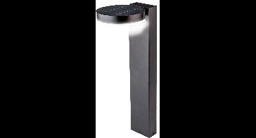 LED's Light Tuinlamp Staand op zonneenergie - 2 sensoren - 3 standen - Zwart - Tuinlampjes - Tuinlampen - Tuin lamp
