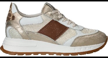 Piedinudi Sneakers - Dames - Goud - Maat:36