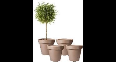Pro Garden Bloempot - 4x - mokka bruin - rond - D50 cm - kunststof - plantenpot - tuin buiten