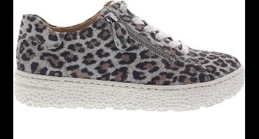 Dames Veterschoenen Hartjes Phil Shoe Leo Grau Grijs - Maat 7