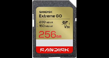 SanDisk SDXC Extreme GO 256GB (UHS-1, R 230MB/s / W150MB/s, 4K)