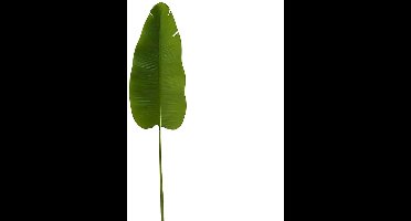 Buitengewoon de boet - Strelitziablad 136 cm kunsttak