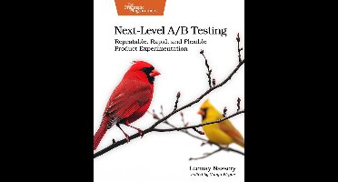 Next-Level A/B Testing