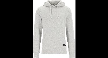 Björn Borg hoodie sweatshirt - heren trui met capuchon dik - lichtgrijs melange