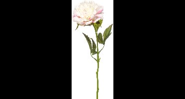 Emerald - Kunstbloem Pioenroos RT 56cm wit/roze - Kunstplant voor binnen