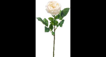 Emerald - Kunstbloem Roos Jenny RT 60cm crème - Kunstplant voor binnen