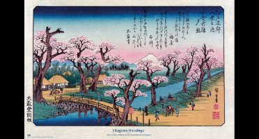 Poster Cherry Trees at Koganei Utagawa Hiroshige - 91,5x61cm