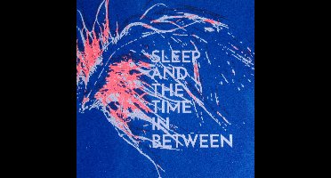 Occasional Flickers - Sleep And The Time In Between (CD)