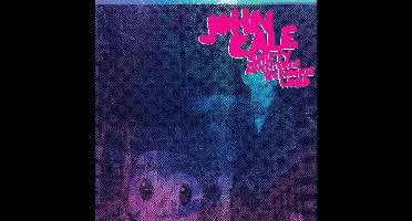 Shifty Adventures In..