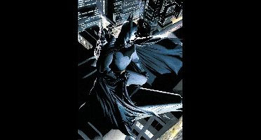 SD Toys DC Comics Glass Poster Batman Watcher 30 x 40 cm Poster & Wallscrolls