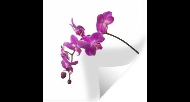 Muurstickers - Sticker Folie - Orchidee tegen witte achtergrond - 30x30 cm - Plakfolie - Muurstickers Kinderkamer - Zelfklevend Behang - Zelfklevend behangpapier - Stickerfolie