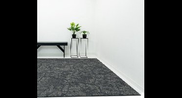 Vloerkleed Xilento Discovery Antraciet Taupe | 200 x 300 cm