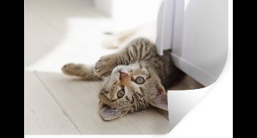 Muurstickers - Sticker Folie - Kitten - Zon - Bruin - Meisjes - Kinderen - Jongens - Kindje - 30x20 cm - Plakfolie - Muurstickers Kinderkamer - Zelfklevend Behang - Zelfklevend behangpapier - Stickerfolie