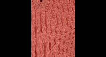 Baileys poloshirt korte mouw rood