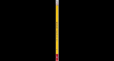 Bruynzeel Bruynzeel 12 grafietpotloden 4B