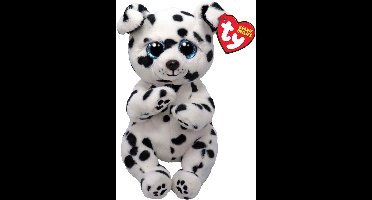 TY Beanie Babies Bellies Knuffel Dalmatiër Rowdy 15 cm
