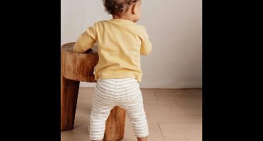 Little Dutch Lange broek - Maat 74 - Legging Jongens & Meisjes - Multi Stripe, Meerkleurig - Little Farm
