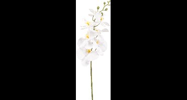 Emerald - Kunstbloem Phalaenopsis wit 84cm - Kunstplant voor binnen