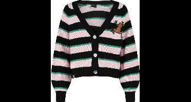 Harry Potter Honeydukes Cardigan meerkleurig Katoen -