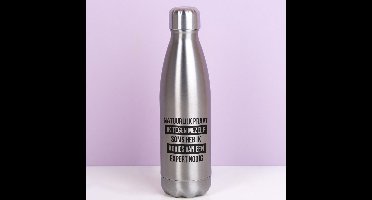 Thermosfles Natuurlijk praat ik tegen mezelf - Zilver van Ditverzinjeniet
