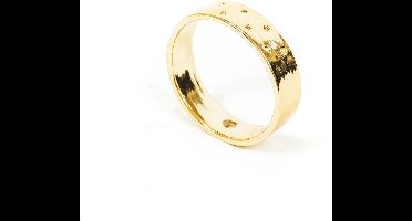 HV Droogbloem Houder - Goud - 13x2x12cm