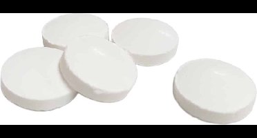 Fortuin Pepermunt suikervrij - harde pepermunt voor frisse smaak - 3 kilo