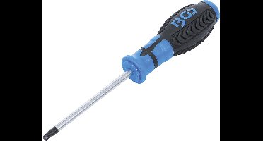 BGS Schroevendraaier Torx T30 x 100 mm