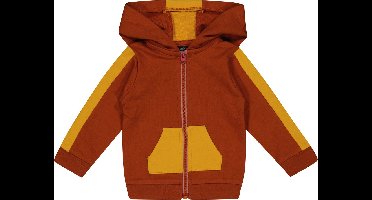 4PRESIDENT Sweater jongens - Arabian Spice - Maat 74 - Jongens trui