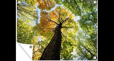 GreatGardenPosters - Tuinposter natuur - Boom - Bladeren - 120x90 cm - Tuinschilderij - Schutting - Muurdecoratie - Wanddecoratie - Tuindoek - Buitenposter