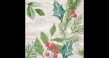 Duni - Servet l24b24 cm wintergreenery 20st