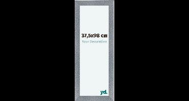 Your Decoration - Fotolijst 37,5x98 cm - MDF - Aluminium Geborsteld - Como