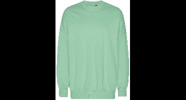 Neutral Oversized Sweatshirt NET63011 - Dusty Mint - L