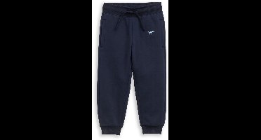 Tom Tailor - Joggingbroek met dinosaurusborduursel - Maat 116 - sky captain blue