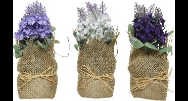 Flower plastic violets L7-W7-H17cm ass