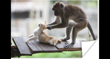 Poster Kat - Aap - Hout - 30x20 cm