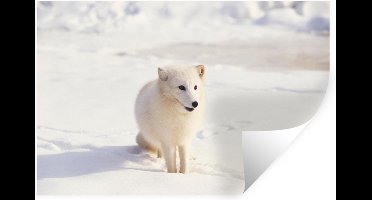 Muurstickers - Sticker Folie - Vos - Sneeuw - Wit - 30x20 cm - Plakfolie - Muurstickers Kinderkamer - Zelfklevend Behang - Zelfklevend behangpapier - Stickerfolie