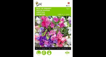 Reukerwt Bijou - Lathyrus odoratus